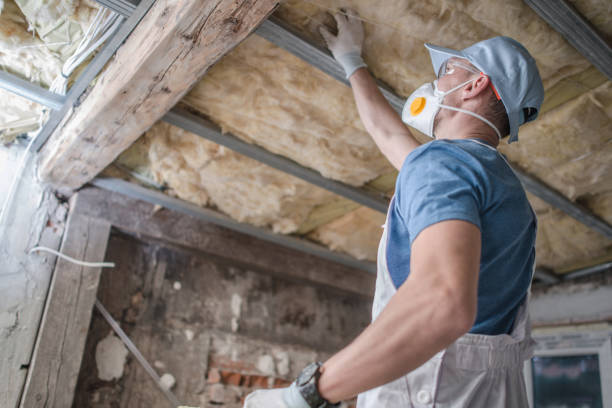 Best Spray Foam Insulation in Laredo, TX