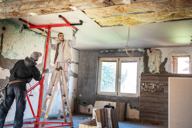Best Eco-Friendly Insulation in Laredo, TX