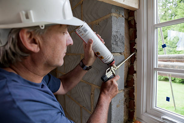 Best Geographic-Specific Insulation Services in Laredo, TX