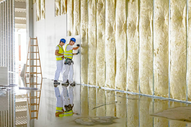 Types of Insulation We Offer in Laredo, TX